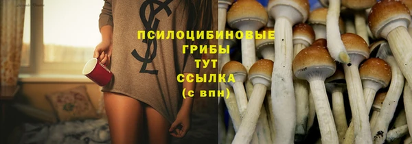 2c-b Алексин