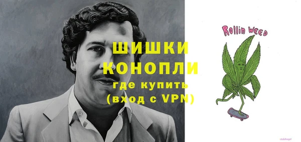 ГАЛЛЮЦИНОГЕННЫЕ ГРИБЫ Абинск