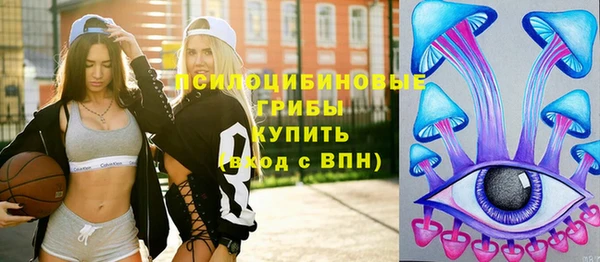 2c-b Алексин