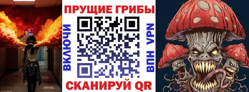 Псилоцибиновые грибы мицелий  гидра tor  сайты даркнета официальный сайт  как найти закладки  Новосибирск 