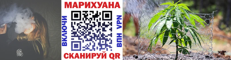 Канабис конопля Новосибирск